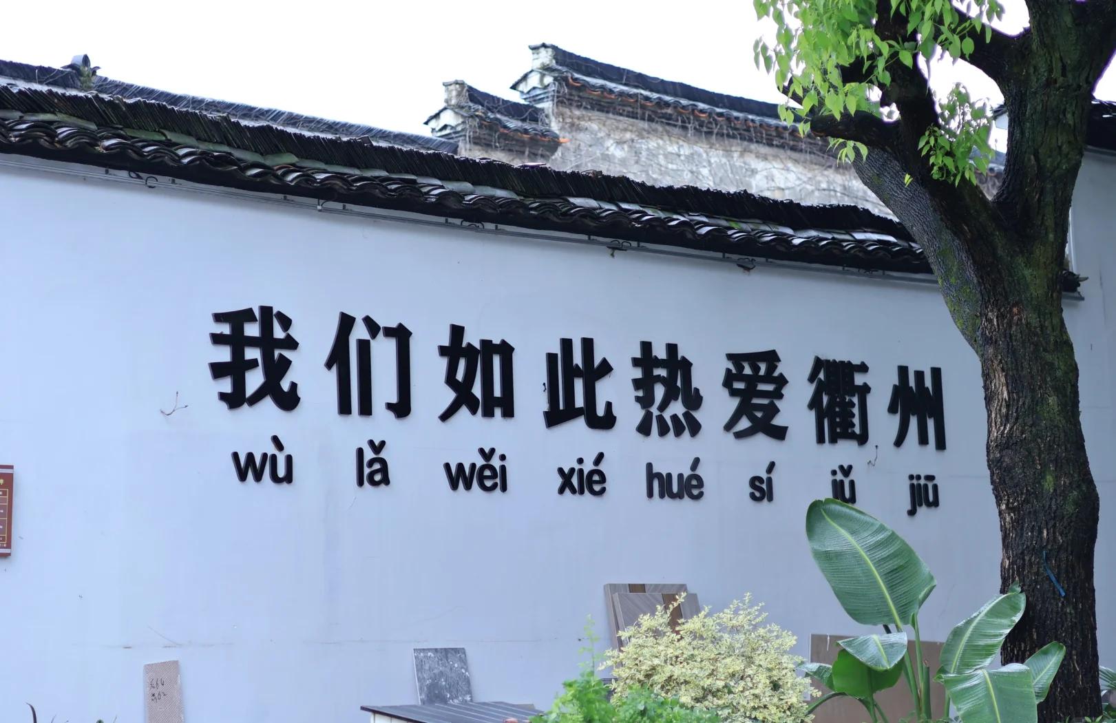 衢州怎样判断附近有无特色茶叶——衢州玉露茶的魅力解读