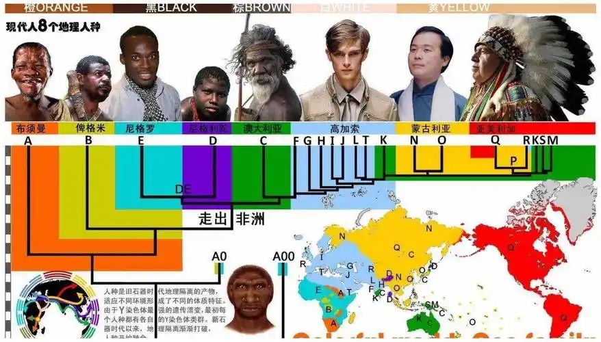 黄种人、黑人和白人地域上相隔了数万年，为啥没有出现...