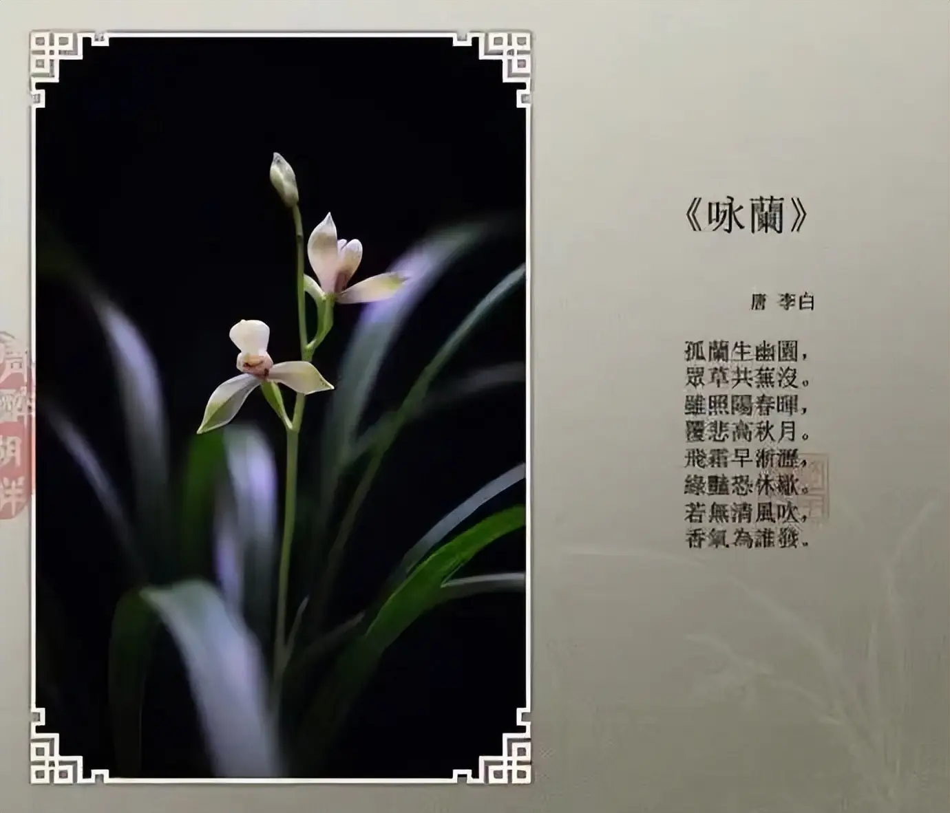 兰花文言文有哪些？中国四大名亭在哪里？寓言故事和动物描写怎么写？