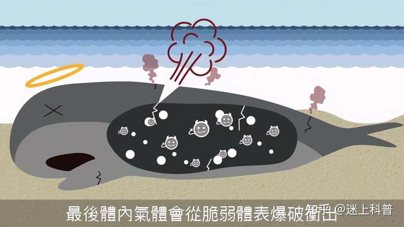 人死后48小时内到底会发生什么变化？揭秘人体死亡后的神秘过程！