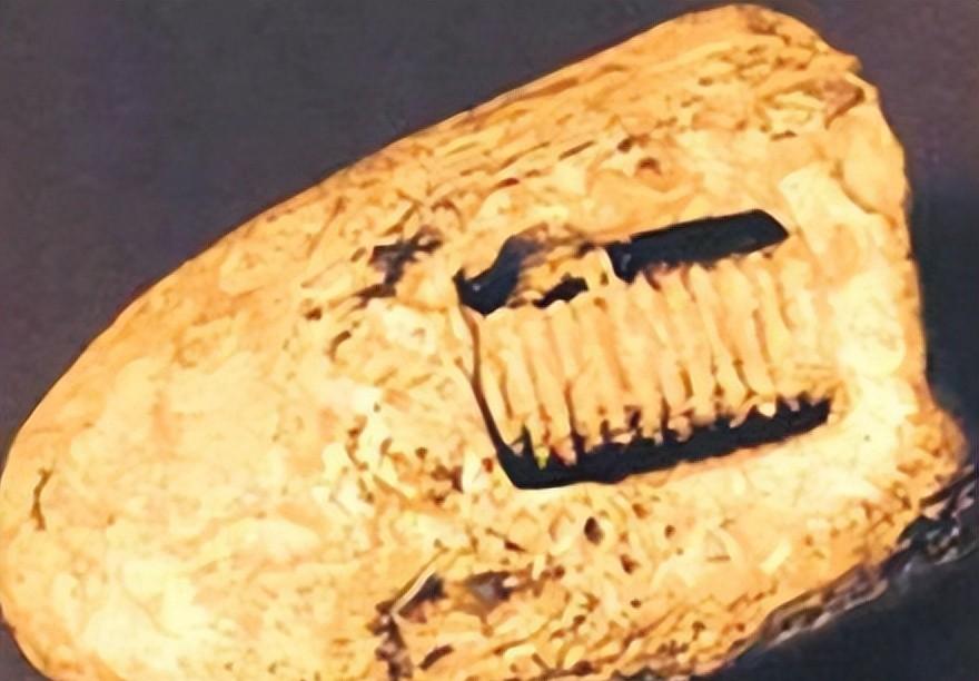 俄罗斯发现2.5亿年前的“芯片化石”是真的吗？...