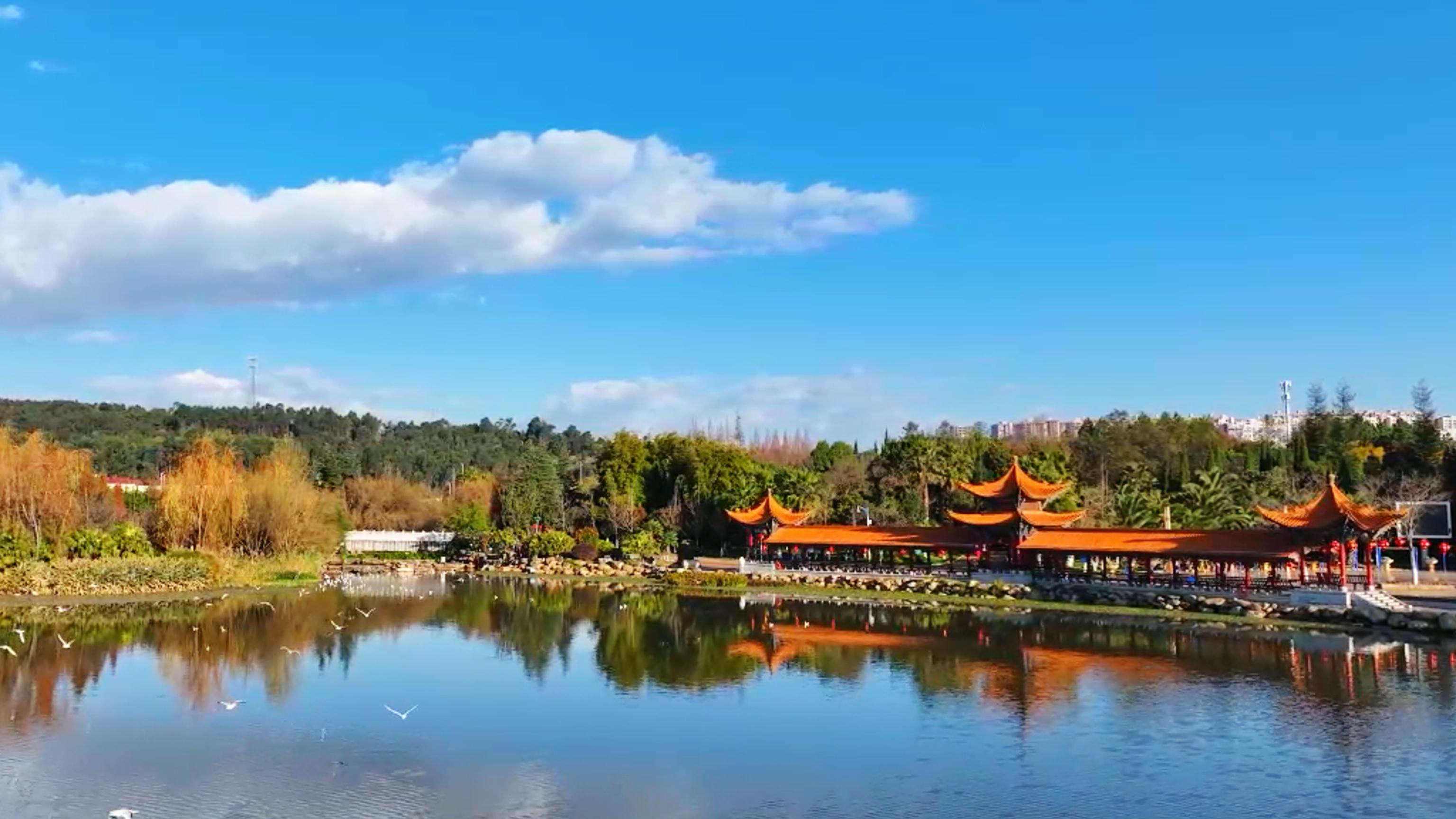 昆明呈贡妹子一般多少钱_服务类型与价格全解析_2025最新避坑和选择指南