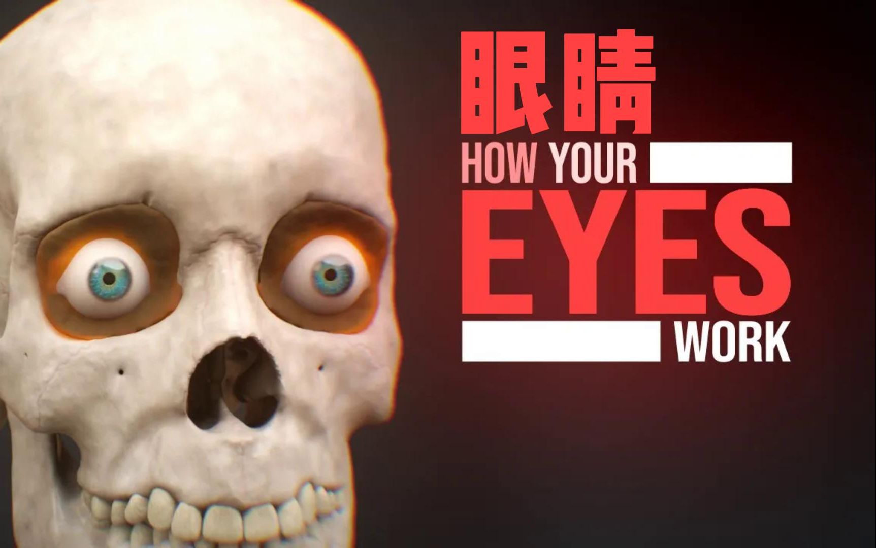 看到的宇宙都是已经发生过的事，都是假象？研究它还有...