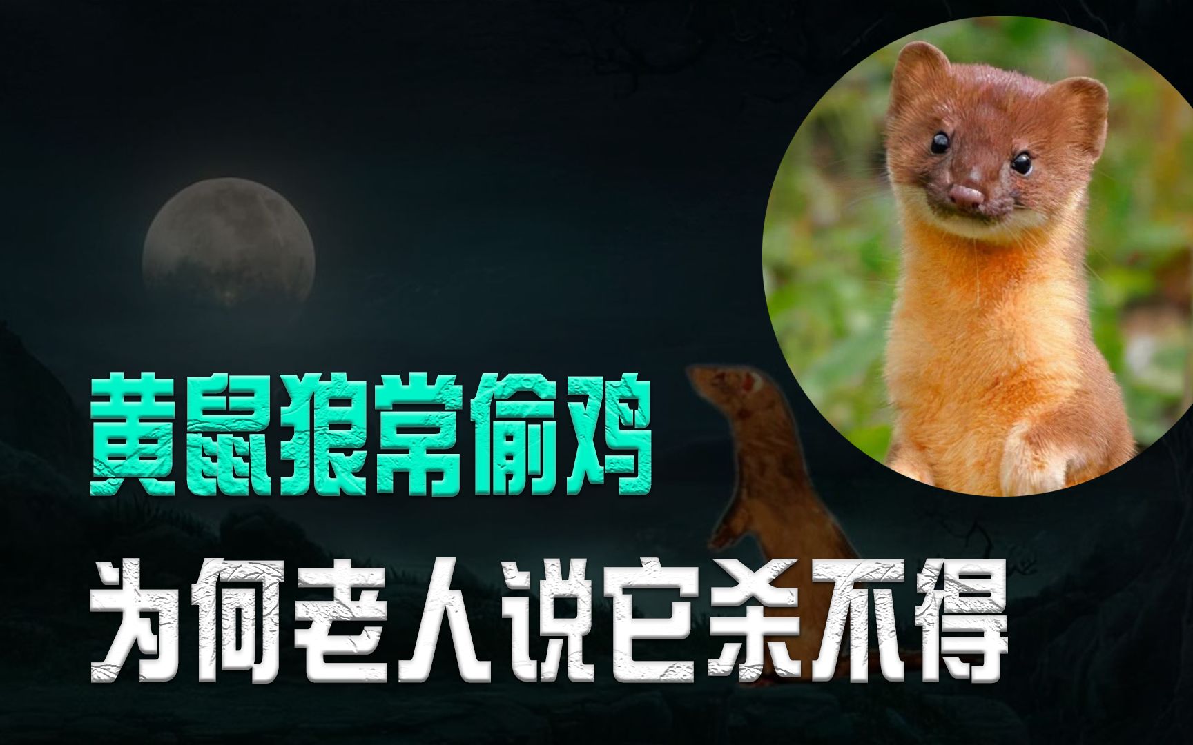 民间流传的“老虎三不杀”都指的什么？...
