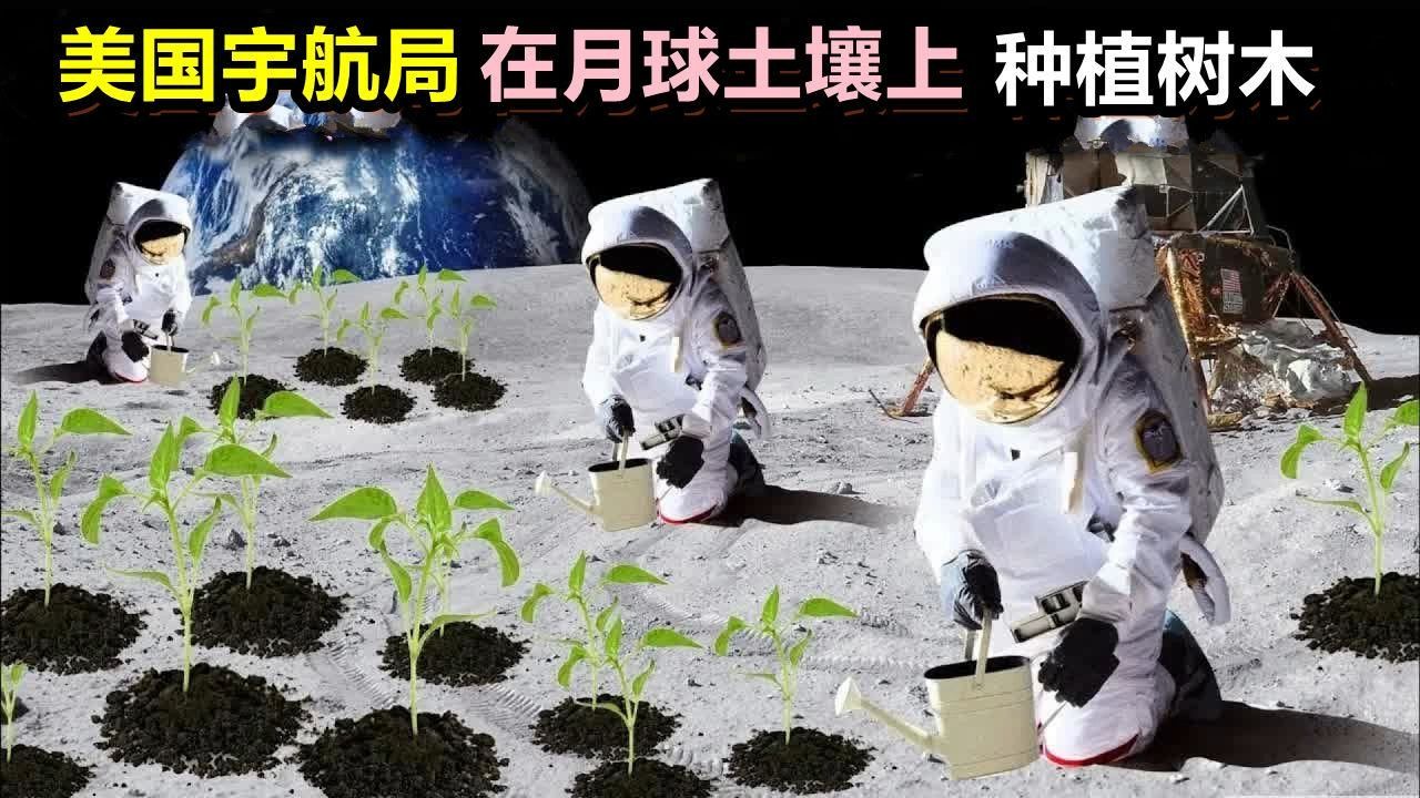 在月球上人类为了生存而进化，最终会是什么样？...
