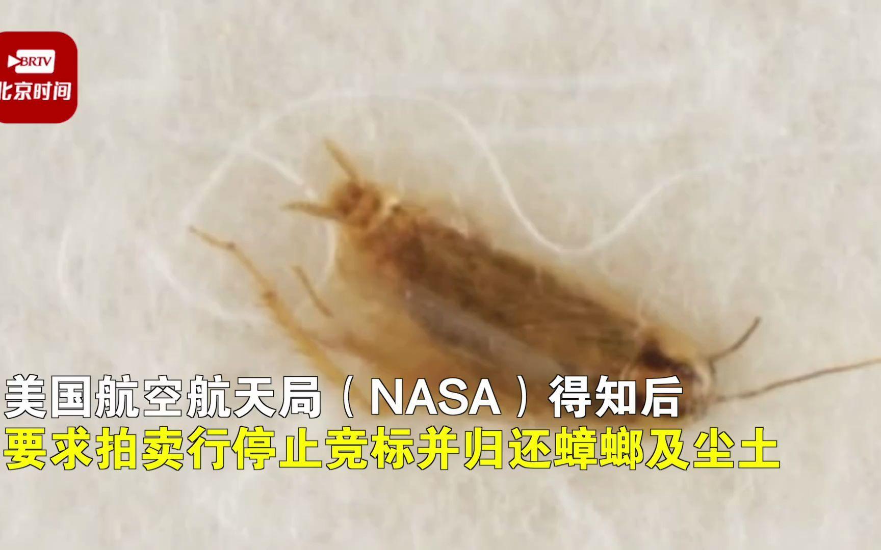 为什么蟑螂会吃掉月球尘埃？月球土壤真的能带回地球吗？月球土壤卖得出去吗？