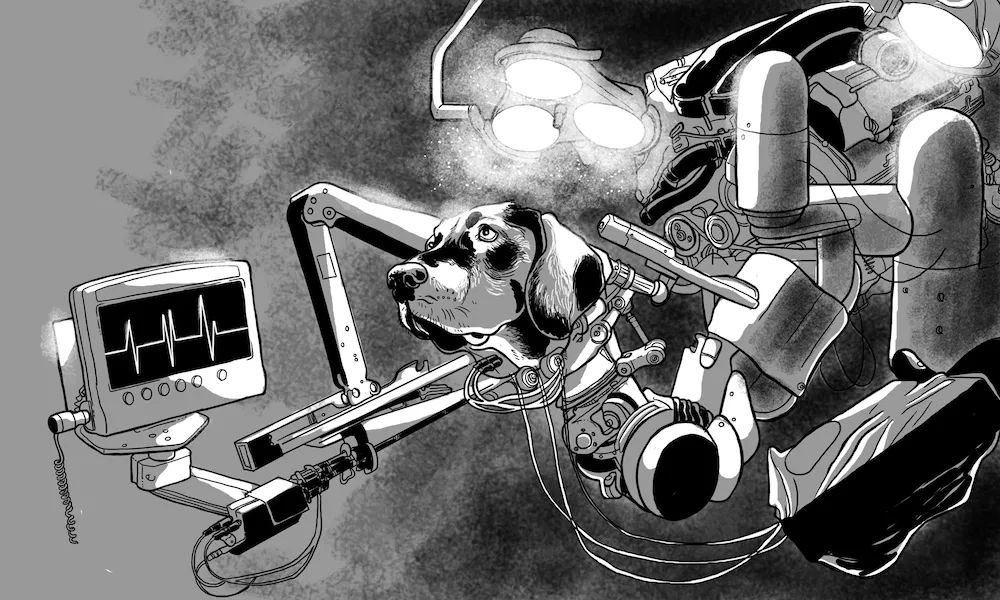 一条狗两个头，骇人听闻的“双头狗”实验，人类错在了...