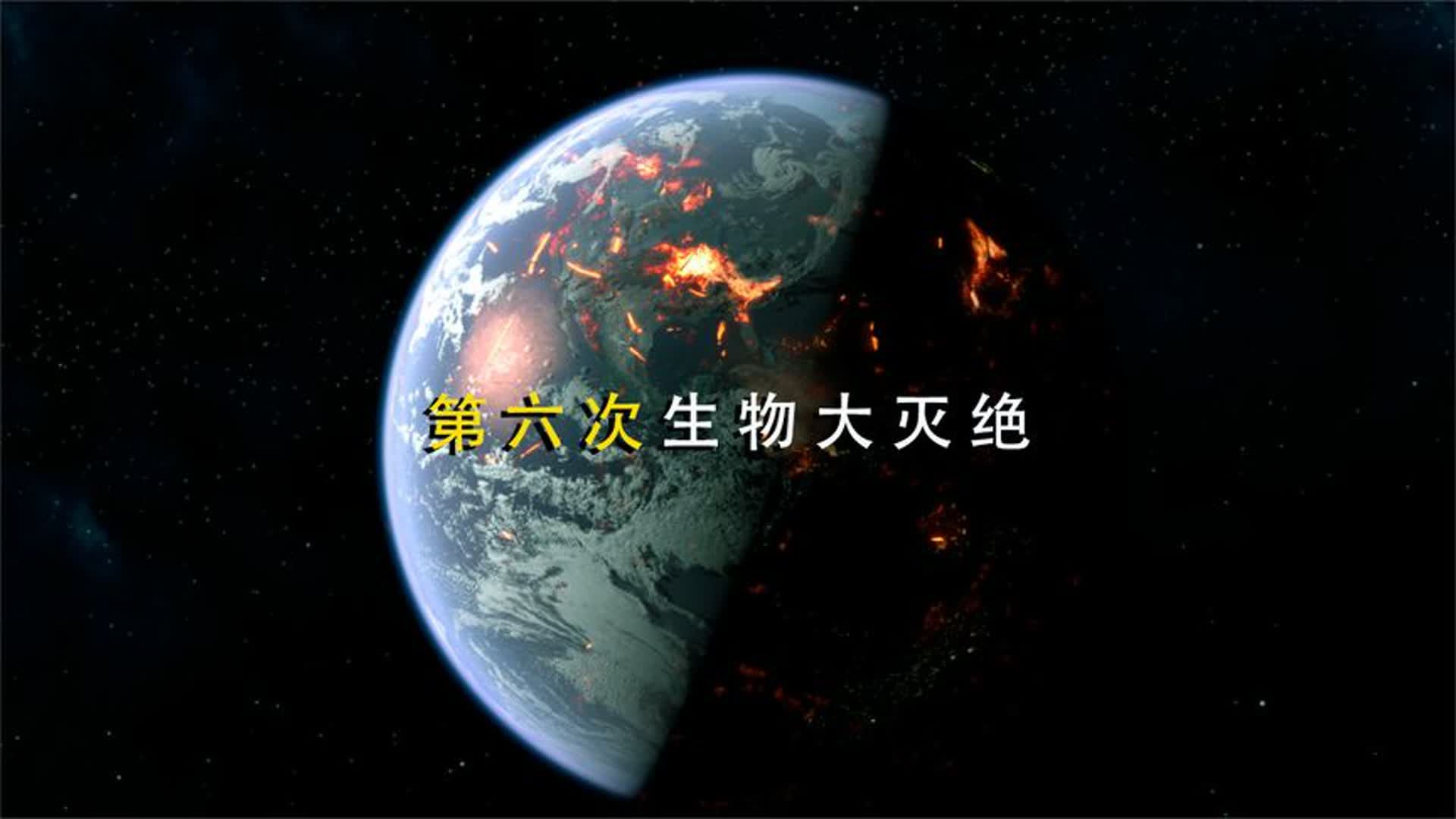 为什么科学家们说人类正处在第六次生命大灭绝中？这到底是真的吗？