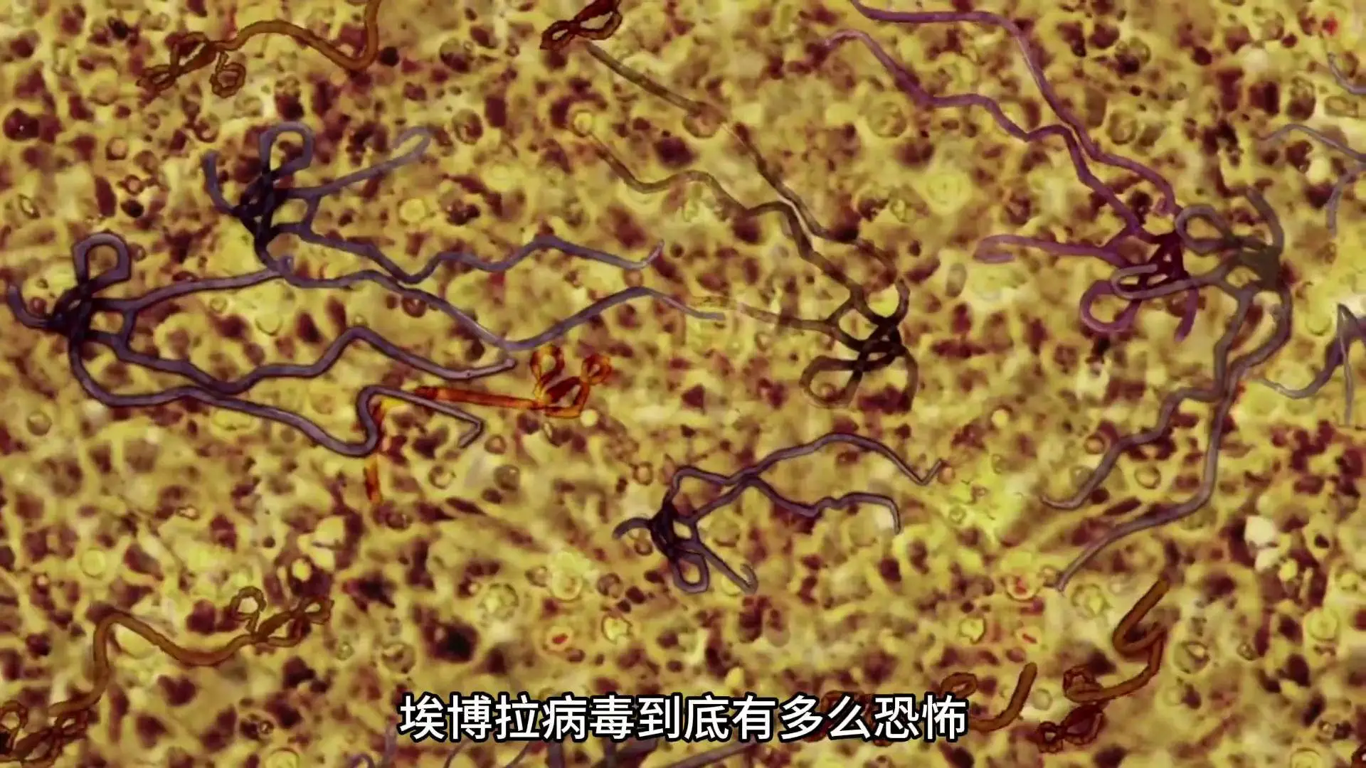 28种新病毒在青藏高原冰川下被发现，如今，冰川在不...