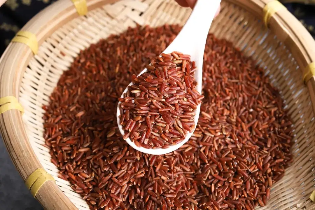 红米K30最严重缺点 红米K30配置参数介绍