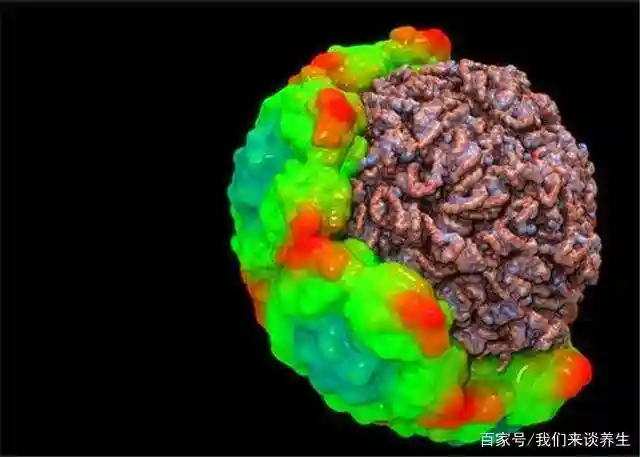 病毒存在的意义是什么？杀死宿主它也活不成，那它是为...