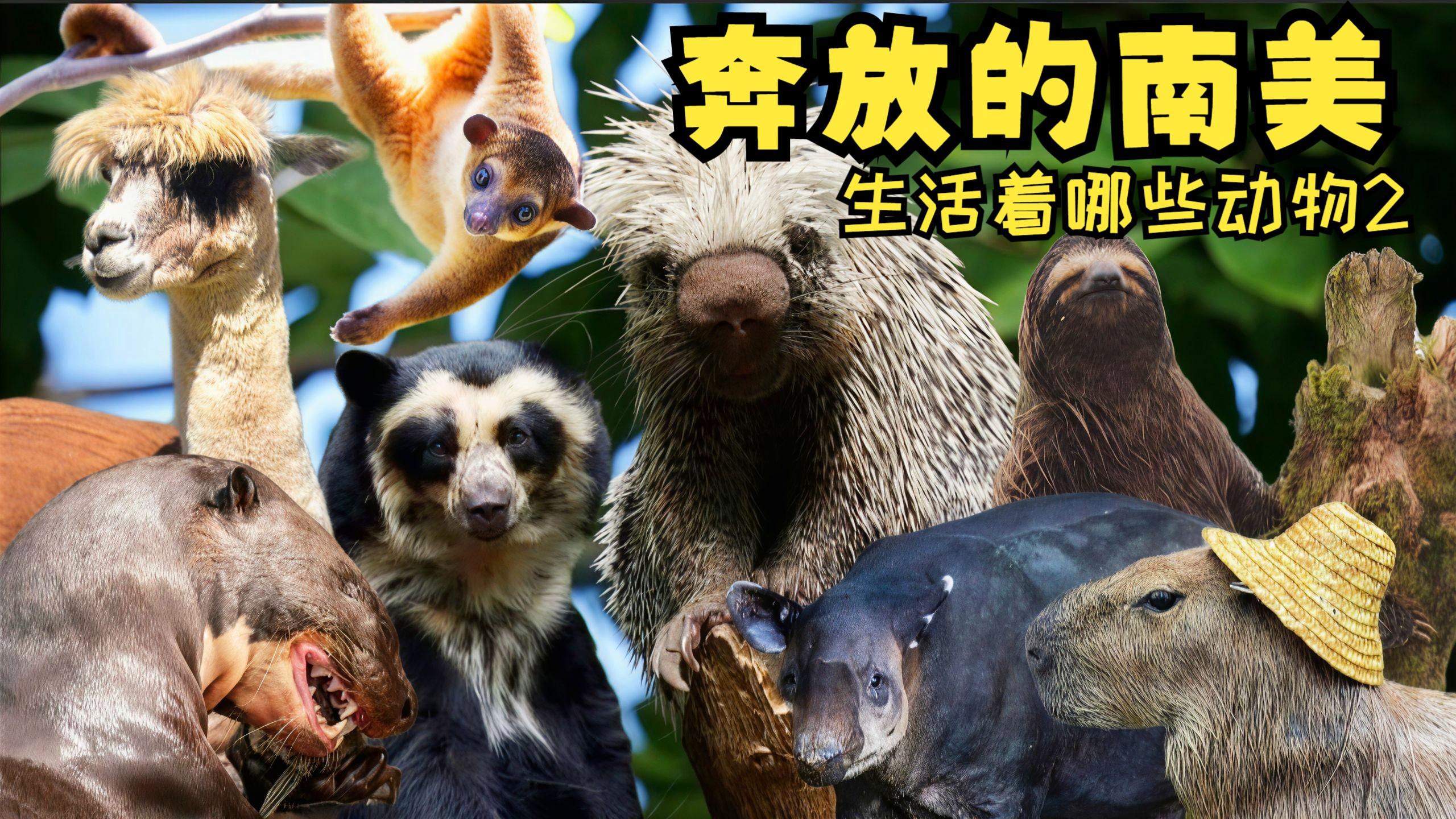 危机公关：芜湖哪湾沚有站小巷的？实测探索与避坑全指南🔥