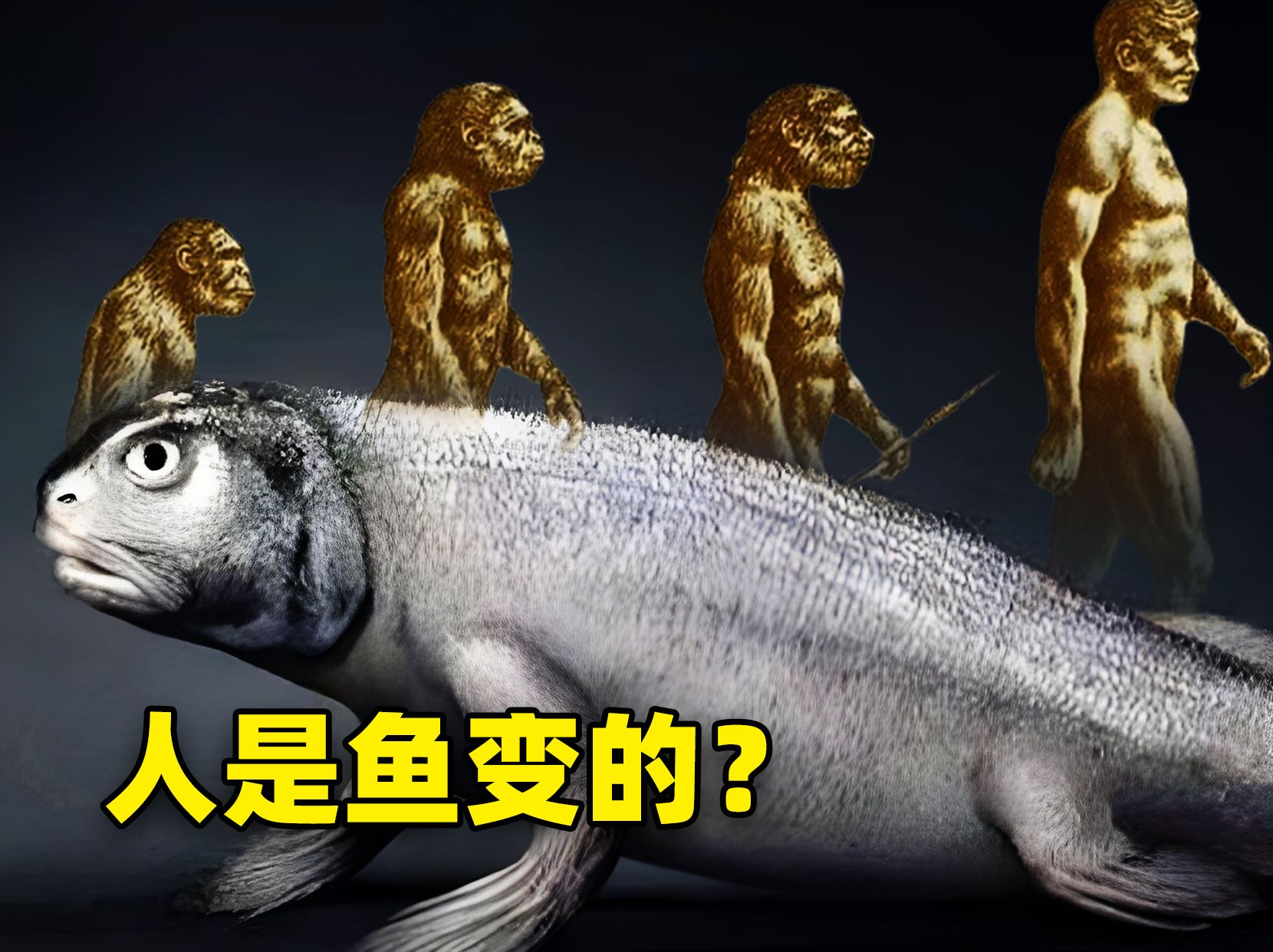 科学家证实：人类是由鱼进化而来，整个过程或是这样？...