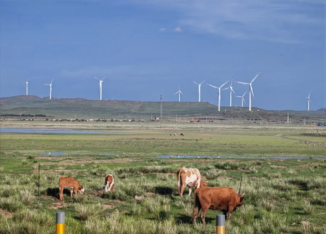 乌兰察布美团怎么找接活的女生