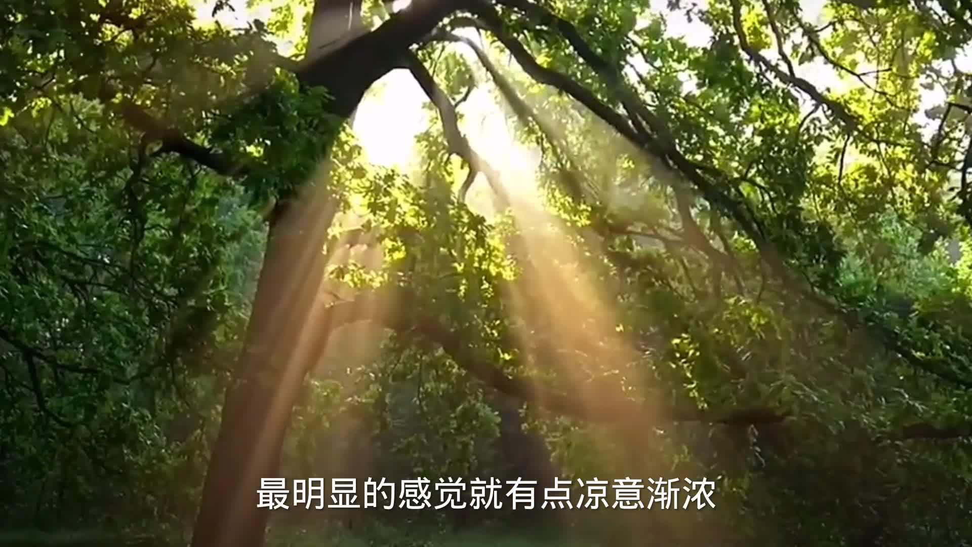 下雪会容易冻死病毒吗？太天真，寒冷将使病毒更容易入...