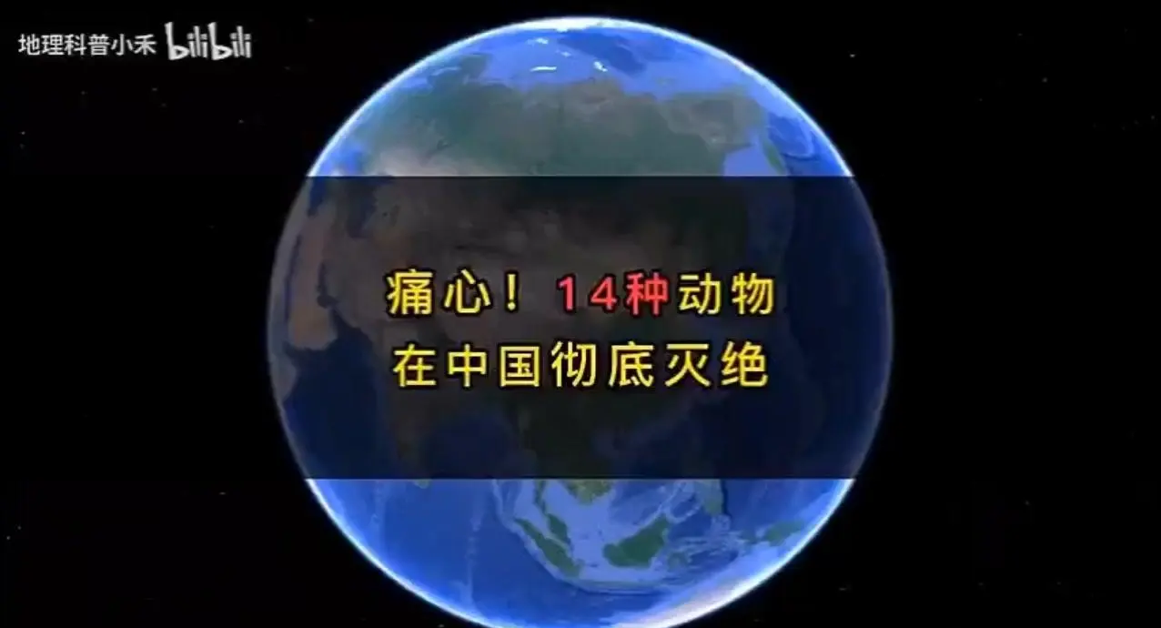 世界奇异动物与濒危物种保护 科学家如何创造奇异杂交体