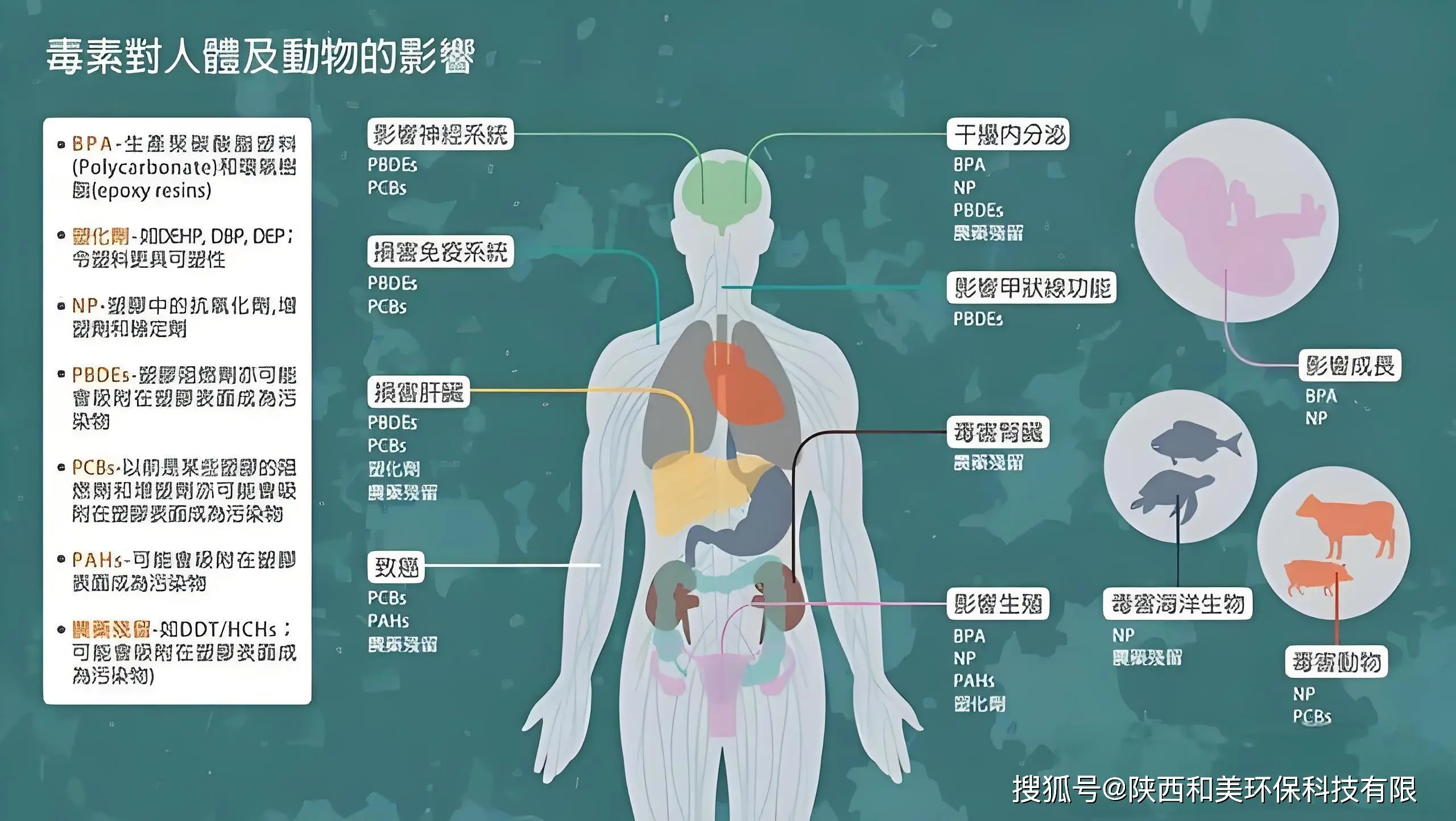 令人担忧！科学家首次在人类血液中发现微塑料，会有何...