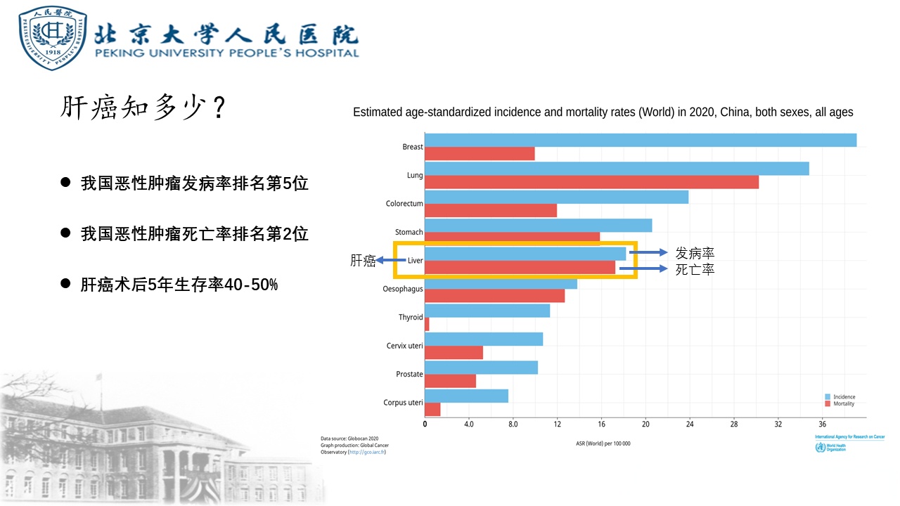 新发现，科学家在恐龙化石中检测出恶性肿瘤痕迹，恐龙...
