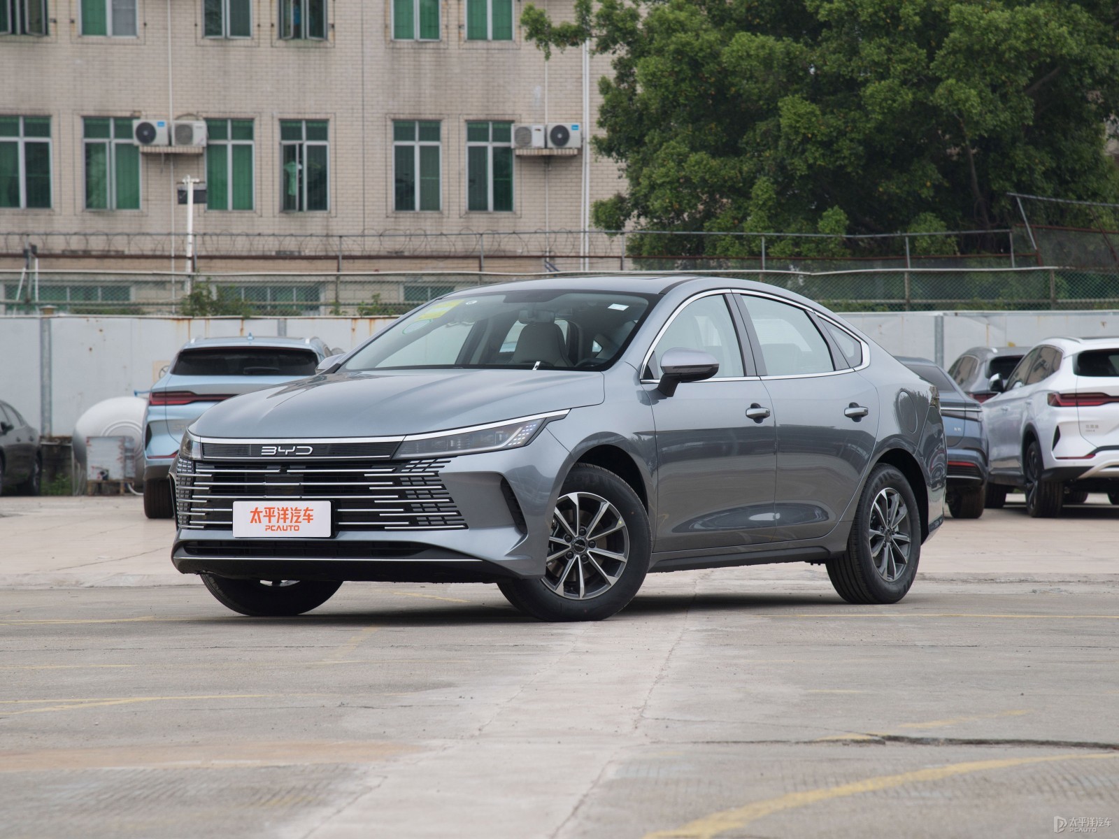 石河子100元三小时服务与100数字文化全解析