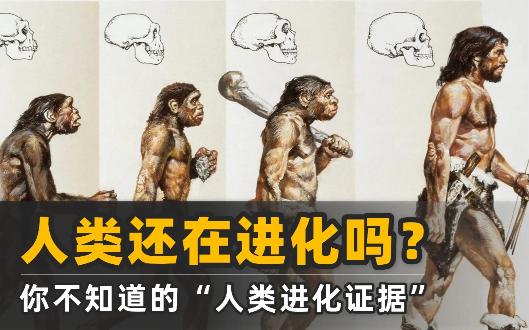 现在的人类真的停止进化了吗？你了解人类进化的真相吗？
