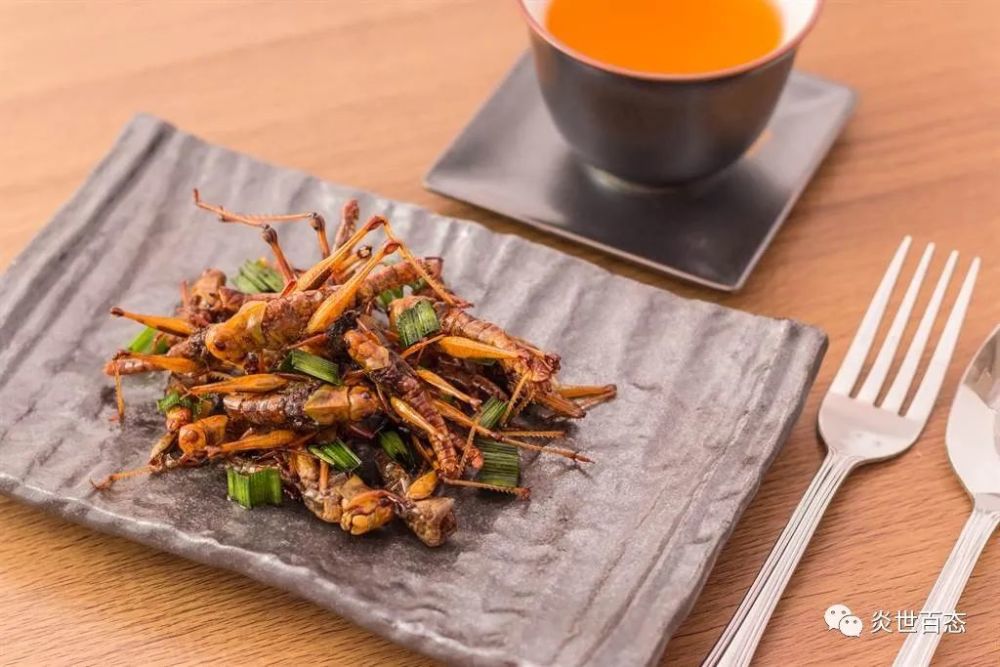 哪些食物容易长虫子 家庭常吃的生鲜风险揭秘