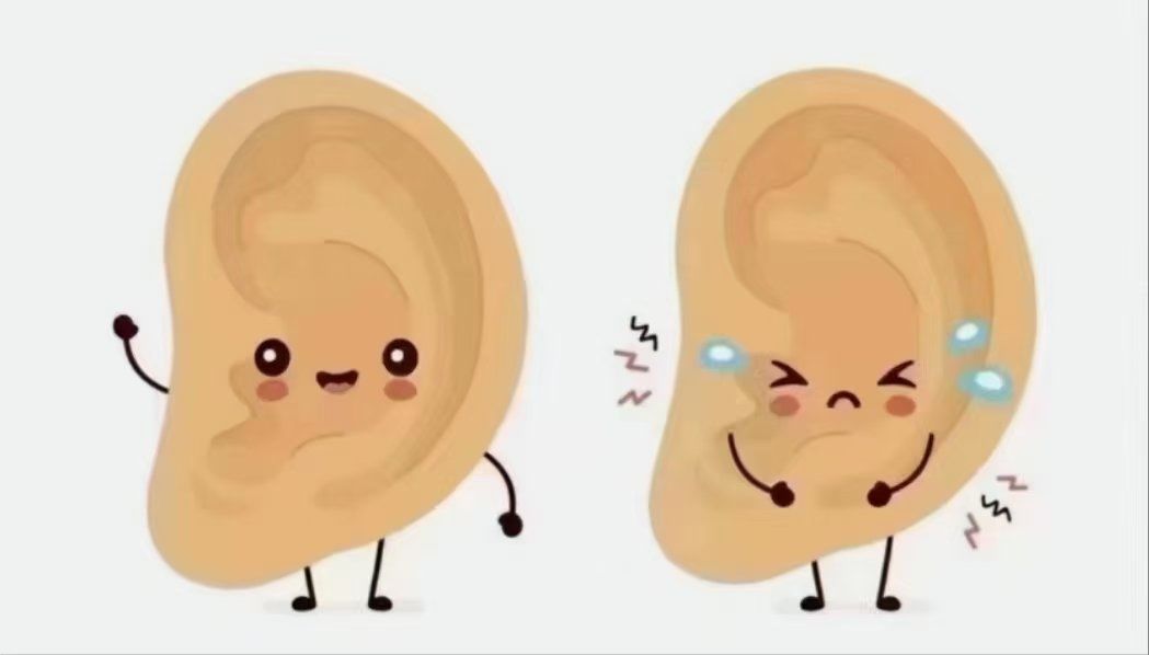 哺乳动物的耳朵都能动，为什么人类却不行？...