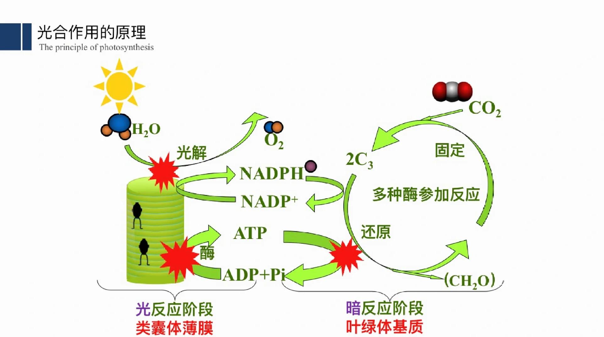 这些高科技和生物技术到底是什么？你知道它们有多厉害吗？