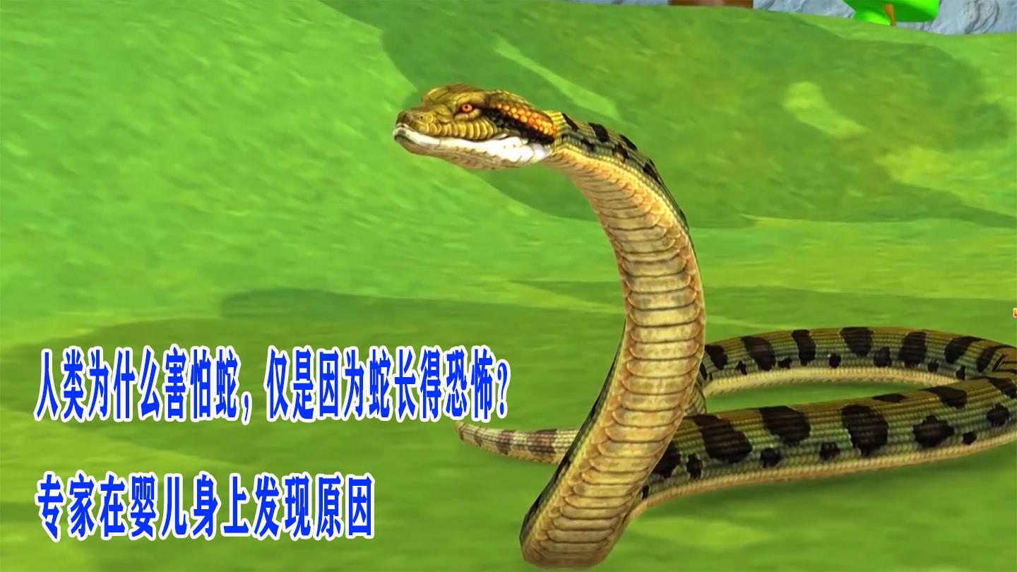 人类为什么天生害怕蛇？真相竟然是这样！