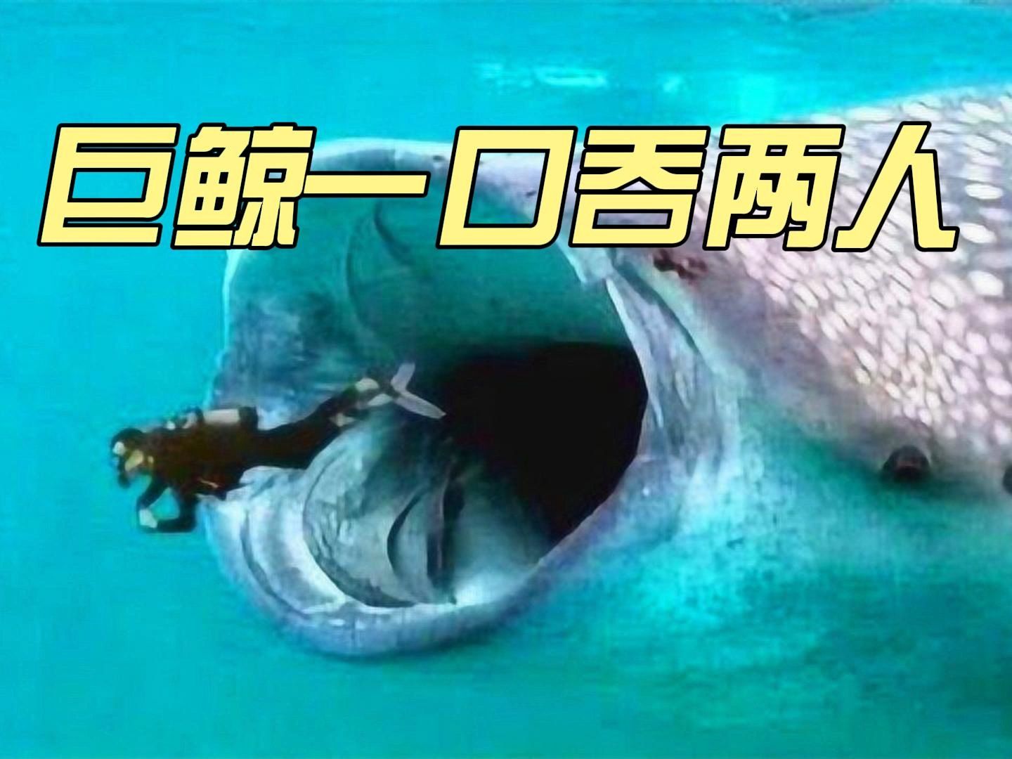 吞了人的鲸鱼为什么不把人吃掉，而是吐出来？真相到底是什么？