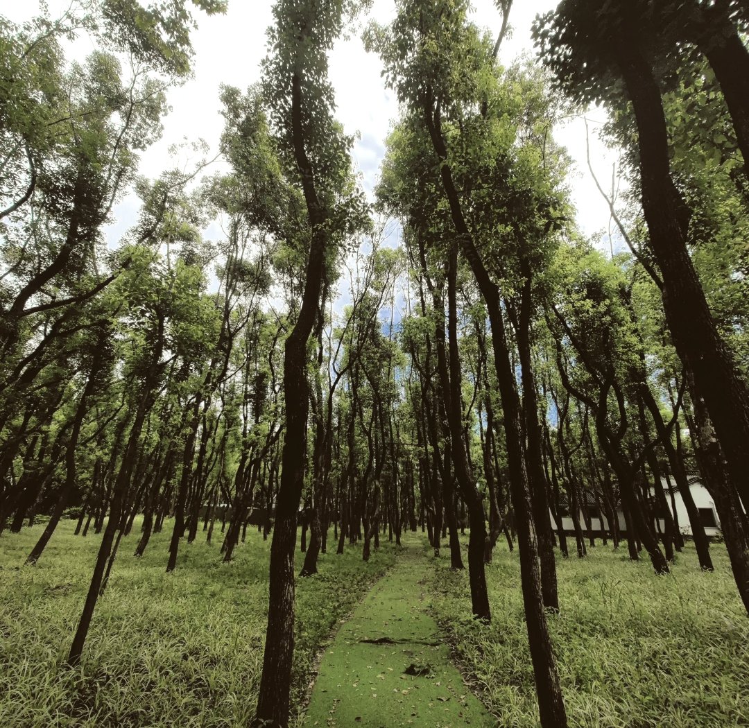最新披露消息称：玉兰路哪家服务好？实测8家店铺对比与避坑指南🔥