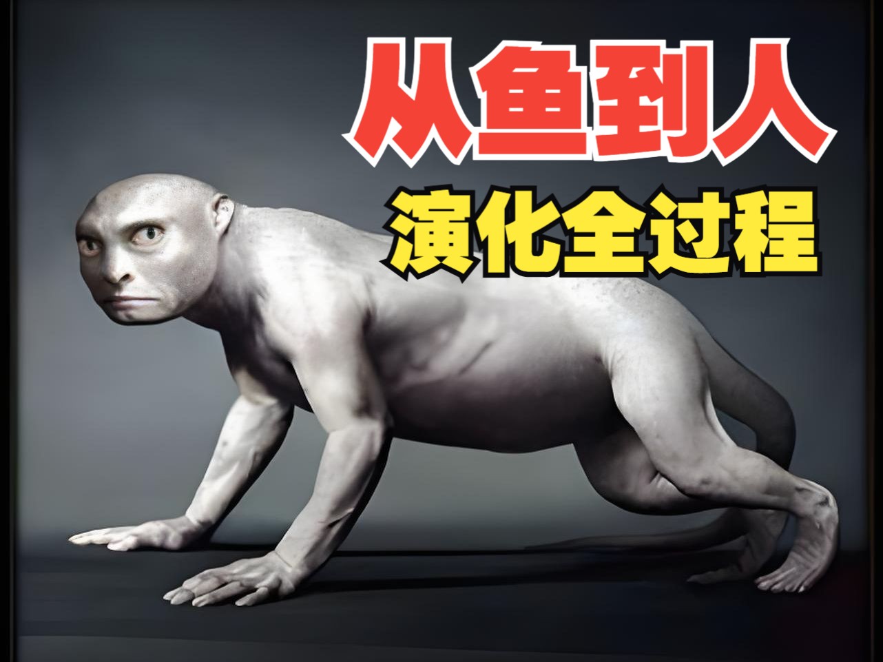 人类是从鱼进化来的 科学家证实五亿年演化历程