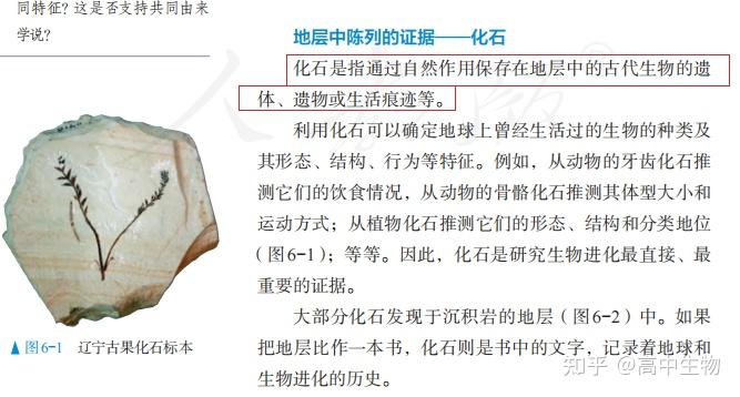 生物进化证据揭秘 达尔文进化论存在哪些争议