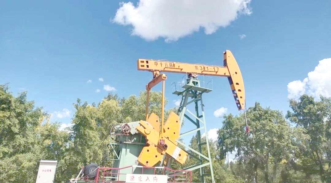 大庆站街姑娘去向调查,她们为何集体搬迁