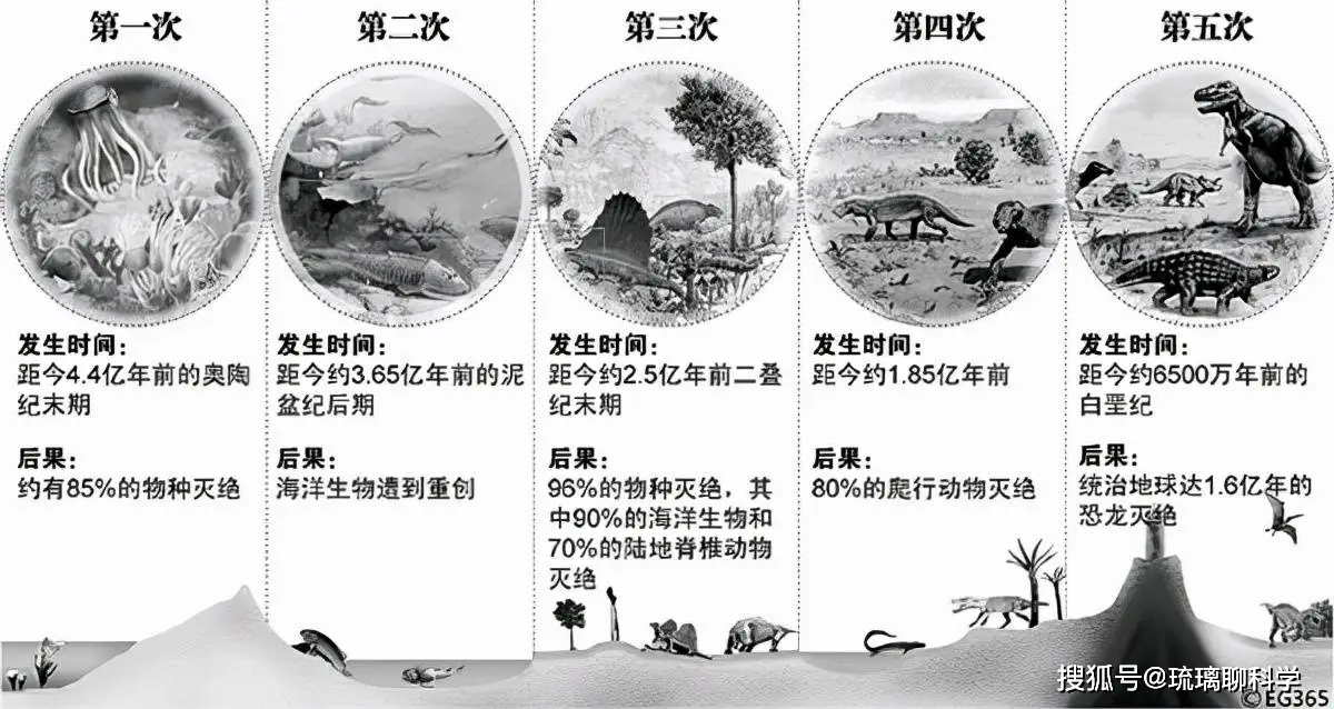 人类灭绝后，哪种生物会成为地球的新霸主？