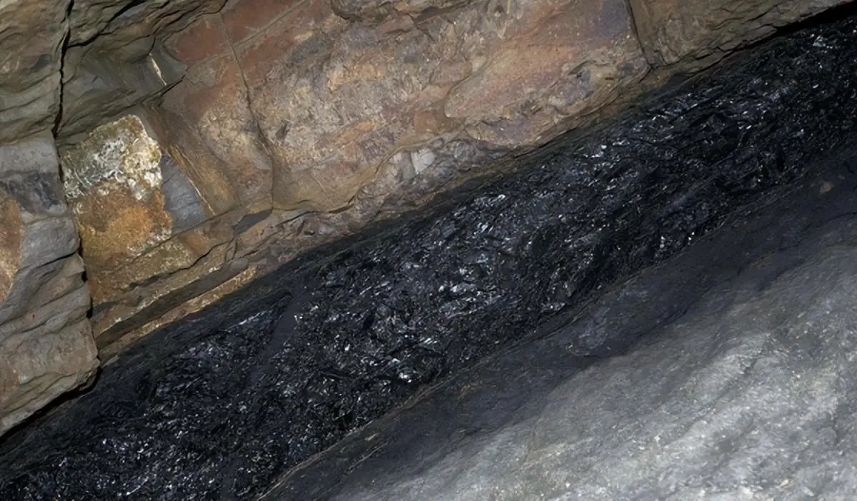 科学家说煤炭由植物变成，那100多米厚的煤层得需要...