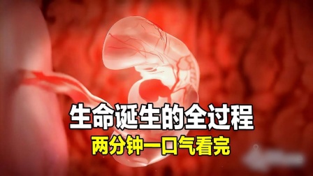 生命是如何诞生的？地球外的“生命之源”发现有什么意义？小行星撞击与生命起源有何关联？