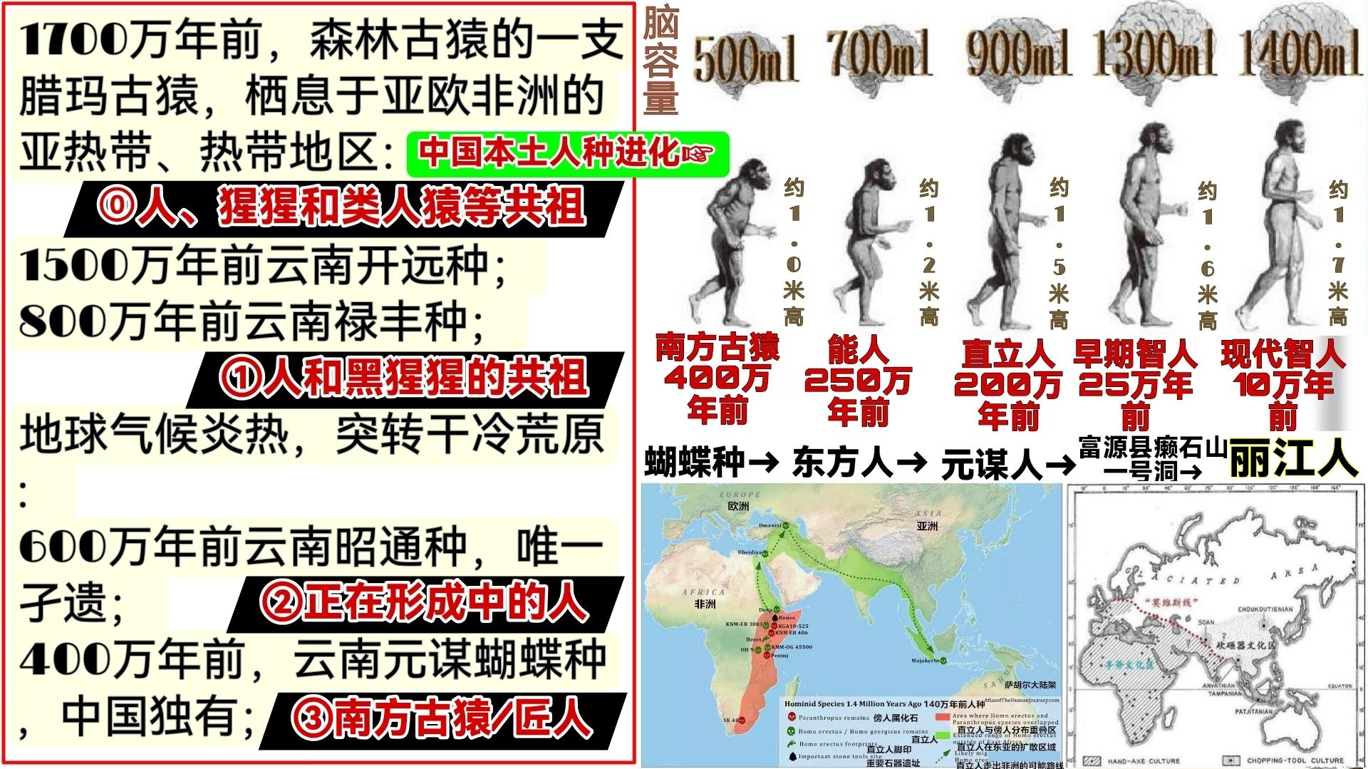 人类消失13万年真相 历史断层原因解析