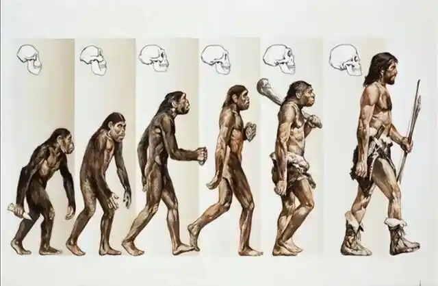 未来人类到底会变成什么样子？真相惊呆你！