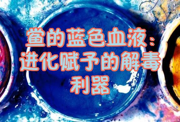 一升10万元？地球上演化4.8亿年，鲎的蓝色血液到...