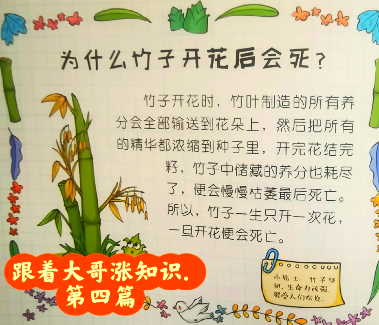 竹子开花，必有灾难？科学家：不是啥好事...