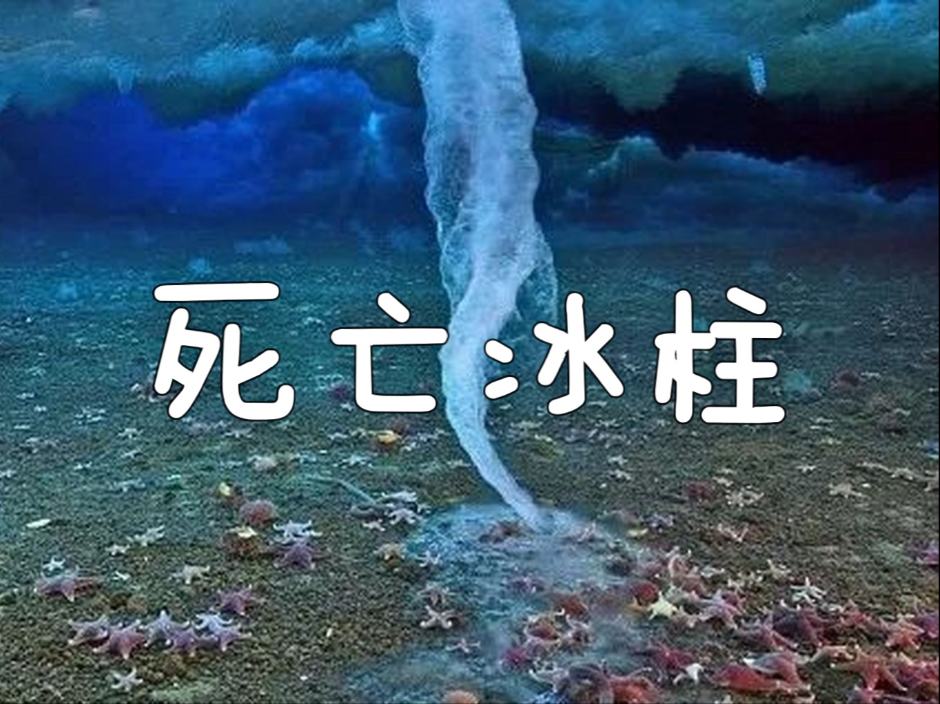 南极死亡冰柱恐怖现象 死亡冰柱为何秒杀海洋生物