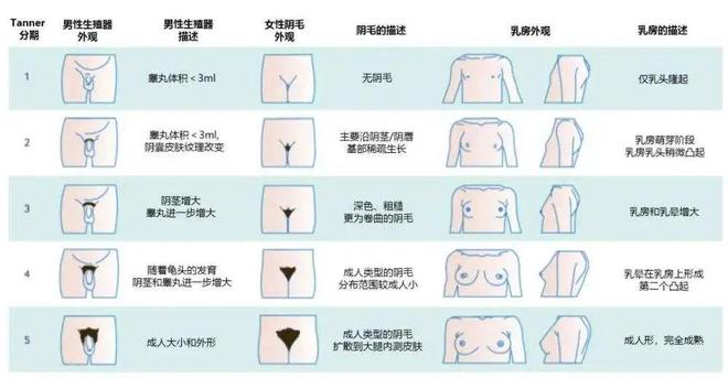 人类为什么失去了全身毛发，只留下头部和隐私部位的毛发？