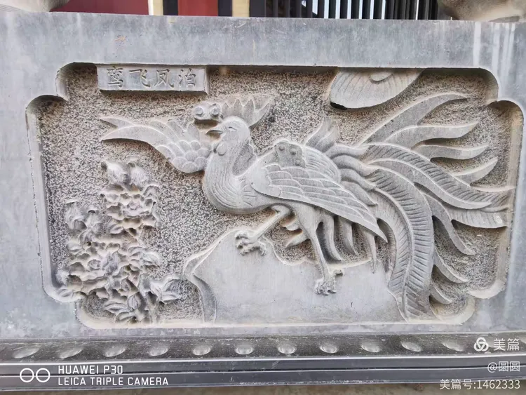 凤楼到底是什么？新手必看的入门指南详解