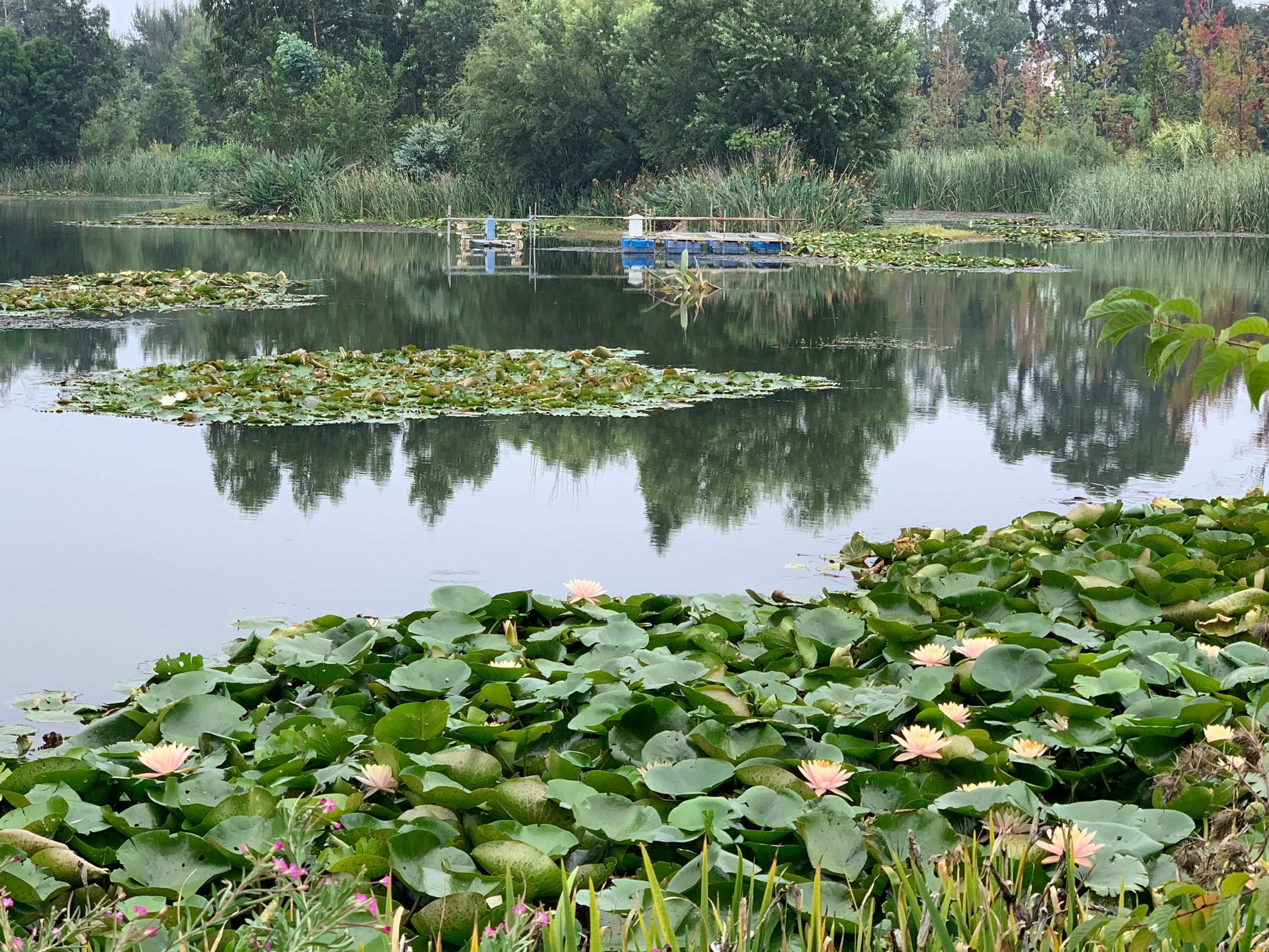 菏泽晚上哪儿有站大街的