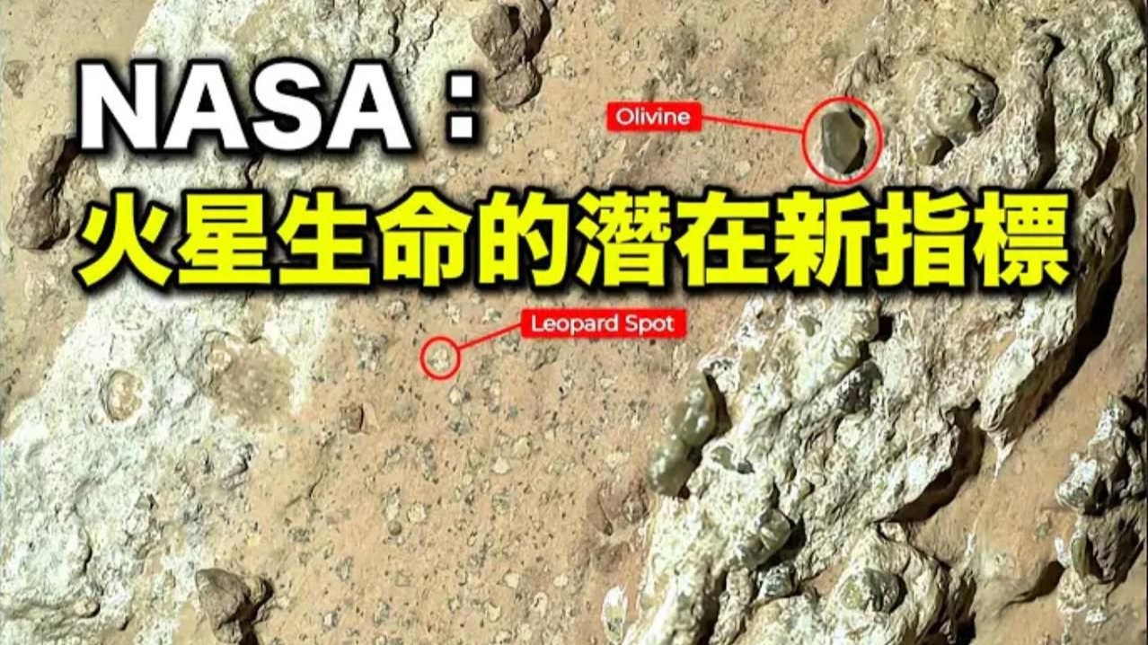 “人骨”出现在火星表面？NASA称：照片确实是好奇...