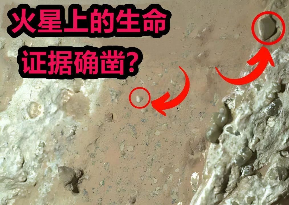 火星真的可能有生命吗？科学家们发现了哪些惊人线索？