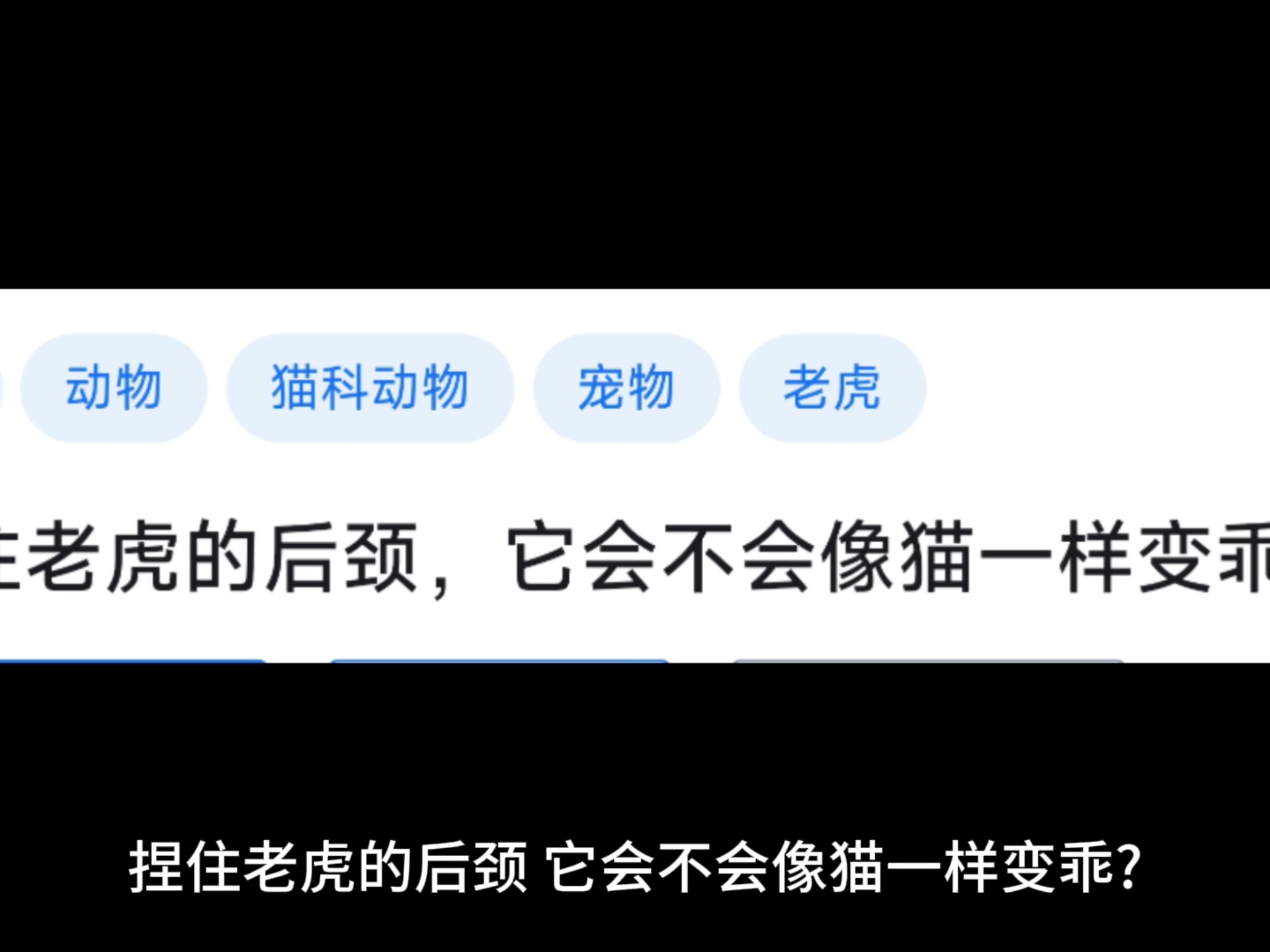 猫身上的“控制开关”，老虎也具备吗？...