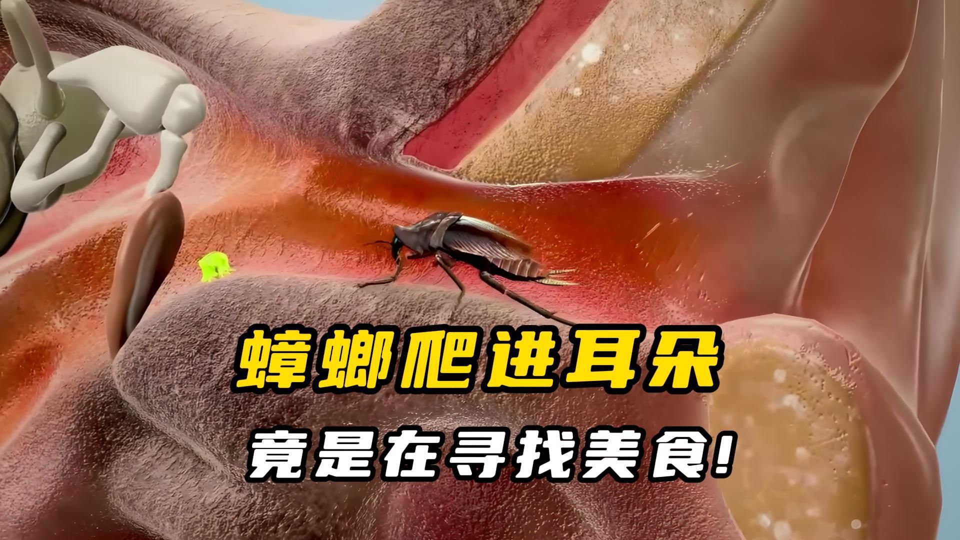 NASA欲用1美元收购月球样本，这是真的吗？...