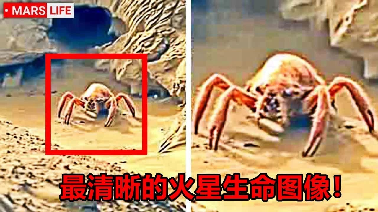 曾经的火星水域遍布，可能存在过生命吗？...