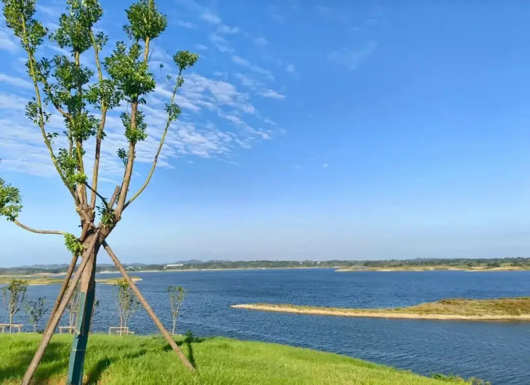 广水微信附近人600一次贵吗